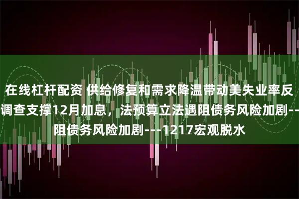 在线杠杆配资 供给修复和需求降温带动美失业率反弹，日央行短观调查支撑12月加息，法预算立法遇阻债务风险加剧---1217宏观脱水